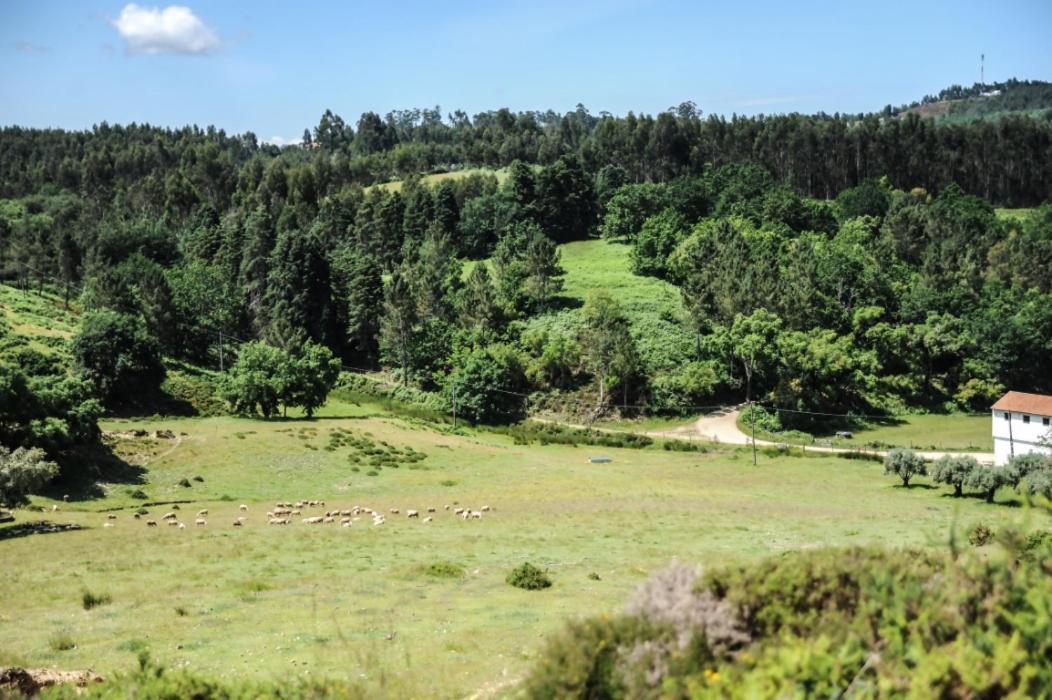 Vumba Agroturismo Arganil Esterno foto