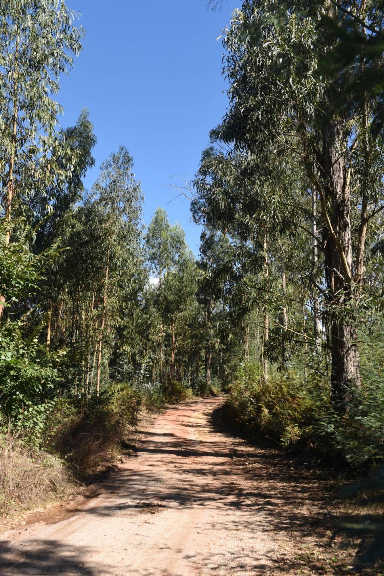 Vumba Agroturismo Arganil Esterno foto